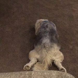 Meet your Posher, Mary